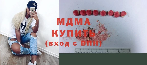 индика Арсеньев
