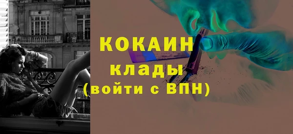 индика Арсеньев