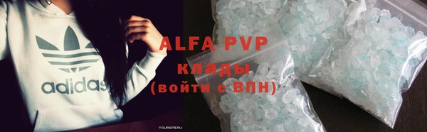 индика Арсеньев