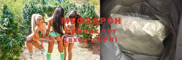 индика Арсеньев