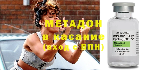 индика Арсеньев