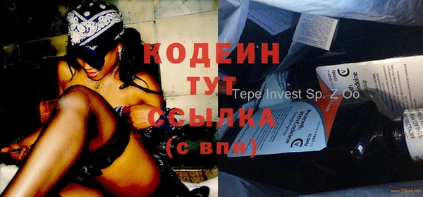 индика Арсеньев