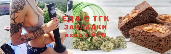 индика Арсеньев